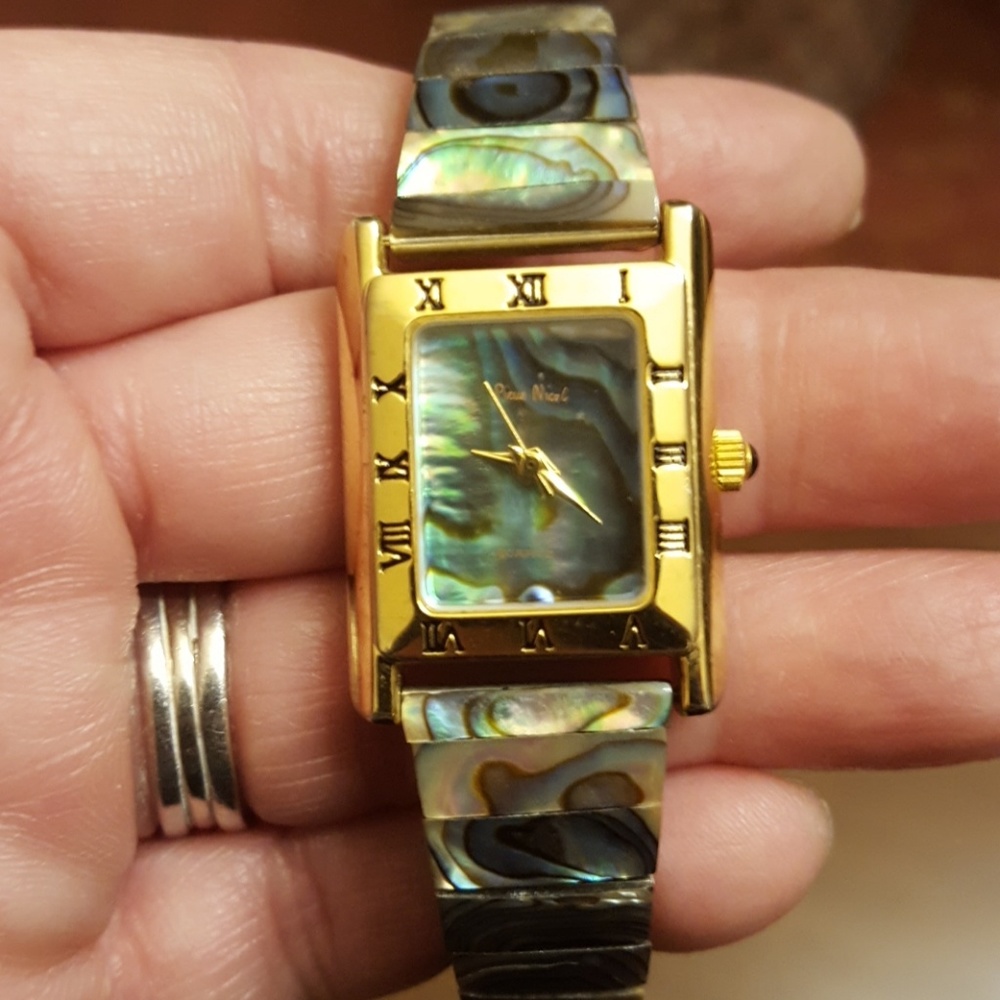 Pierre Nicol Abalone Watch